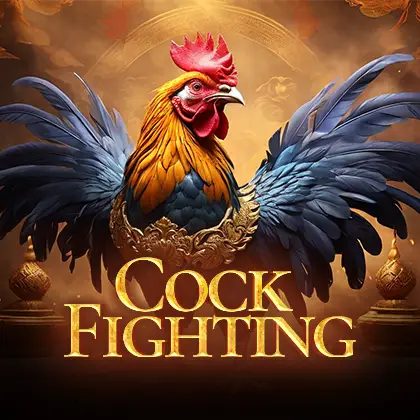 cock-fighting